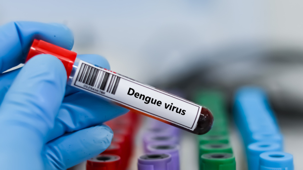 Panika zbog epidemije opasne groznice u Americi: Potvrđen prvi smrtni slučaj
