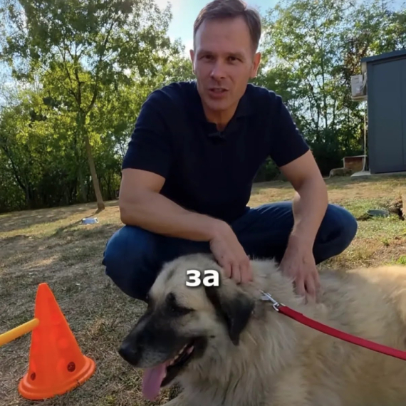 Mali obišao Prihvatilište za pse u Resniku: "Odgovorno vlasništvo mora da postane deo našeg vaspitanja" VIDEO
