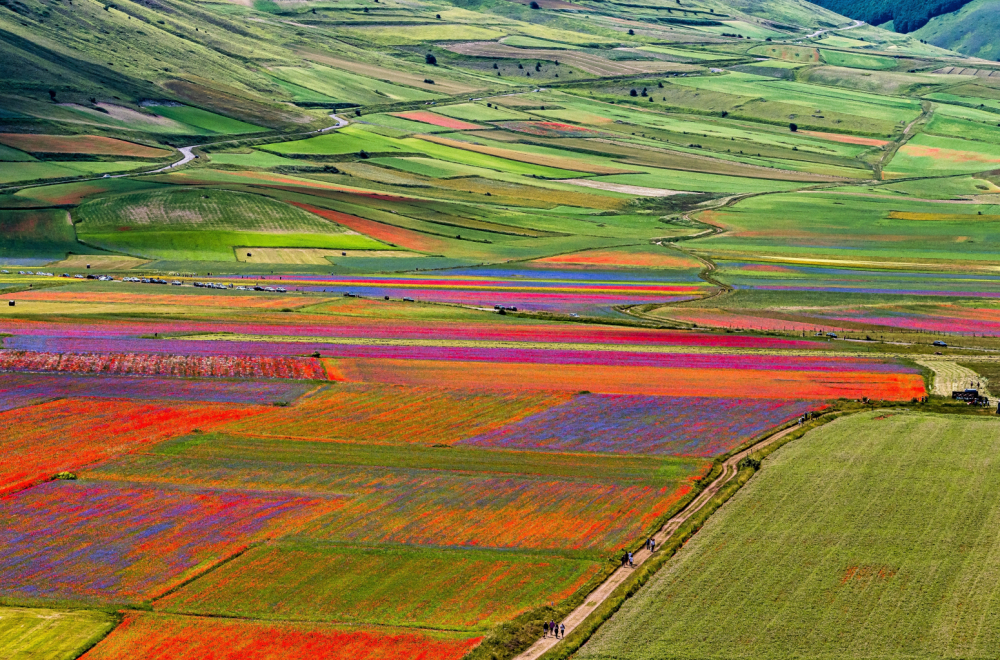 Nova Toskana krije se u Italiji: Ovo malo mesto izgleda kao sa razglednice FOTO