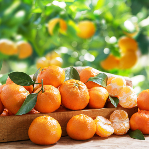 Šta se dešava u našem telu ako svakog dana jedemo mandarine? Slatka vitaminska bomba čuva imunitet