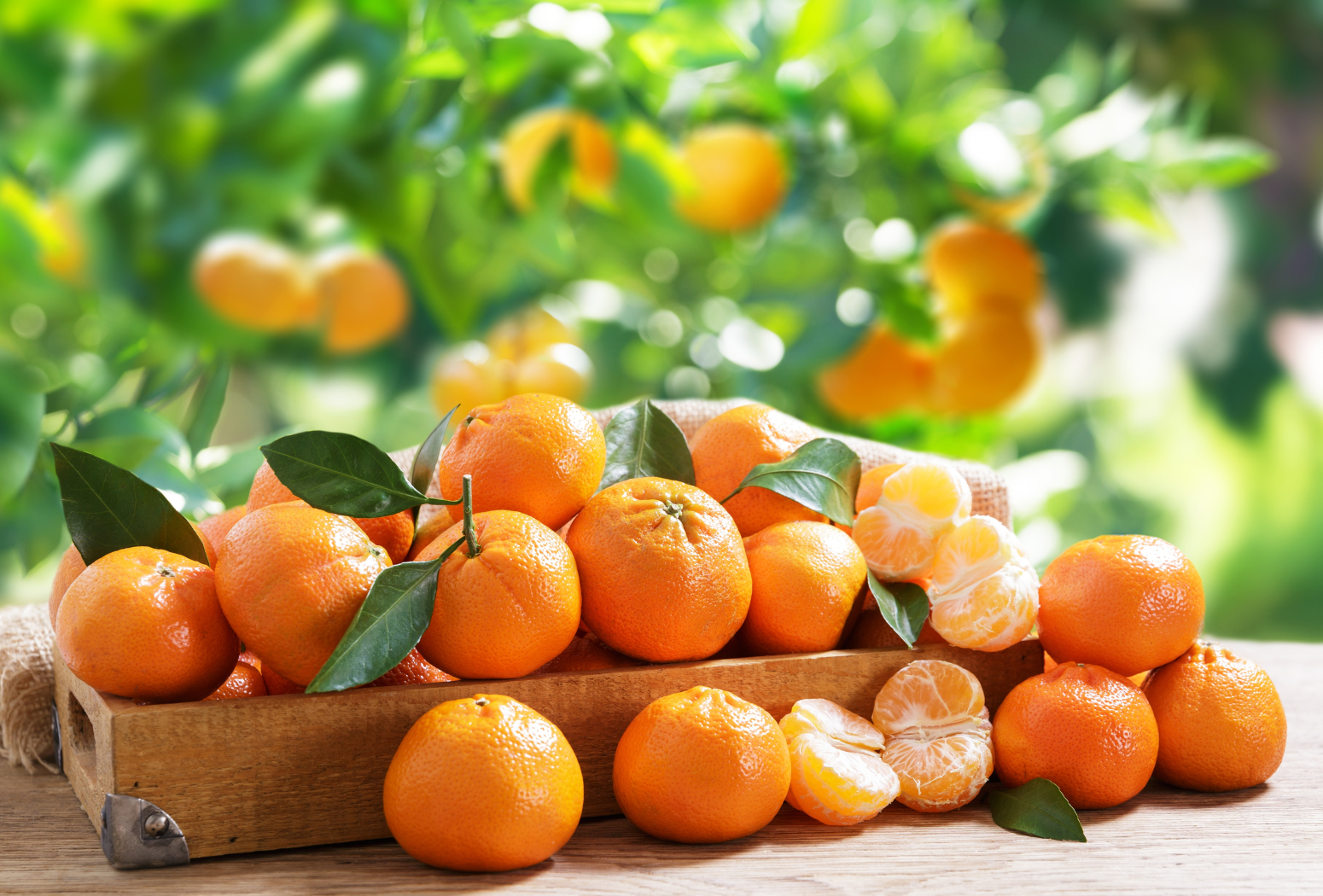Mandarine nisu samo ukusne: Pomažu imunitetu, srcu i održavanju telesne težine
