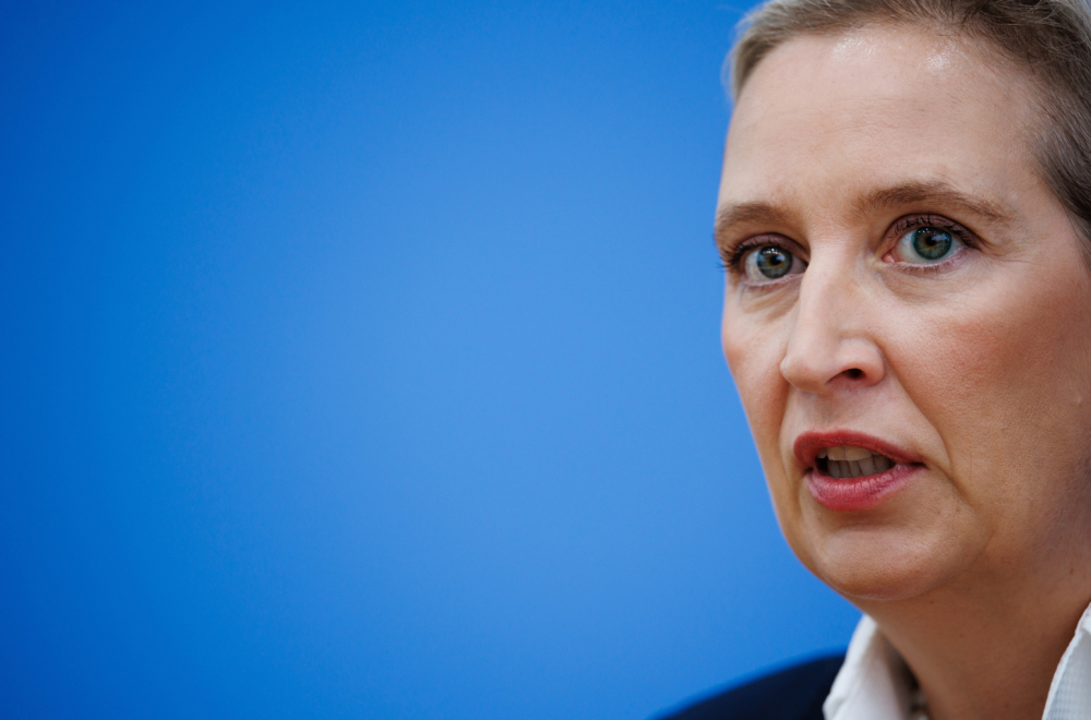 Uspon AfD-a će se zaustaviti