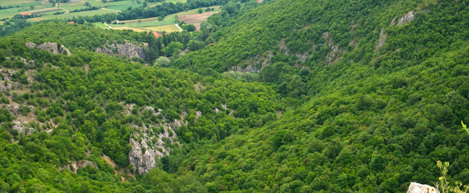 Jeftin odmor na svega tri sata od Beograda: Ovu banju u Srbiji najviše cene zbog jedne stvari