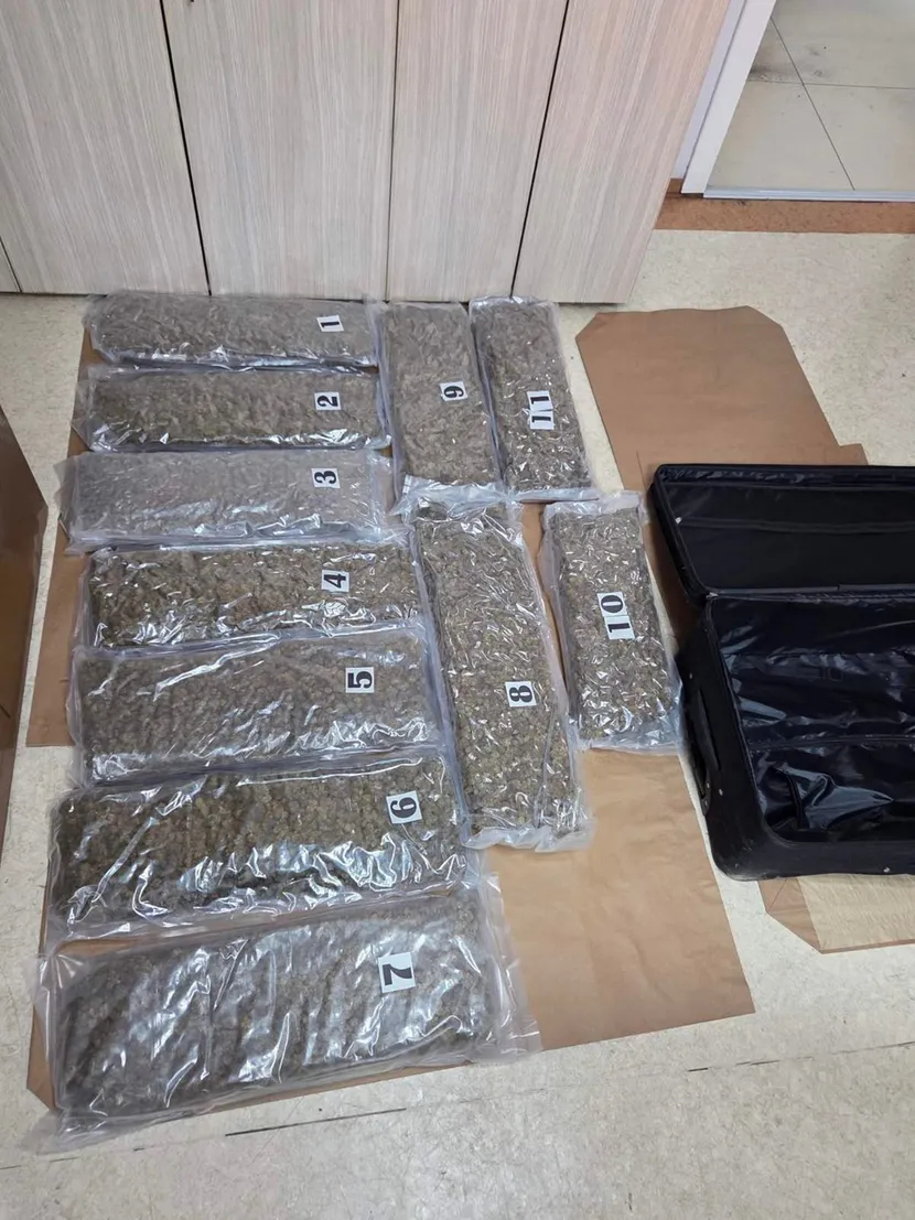 Kod Novog Sada zaplenjen 31 kilogram marihuane: Osumnjičeni pobegao u šumu