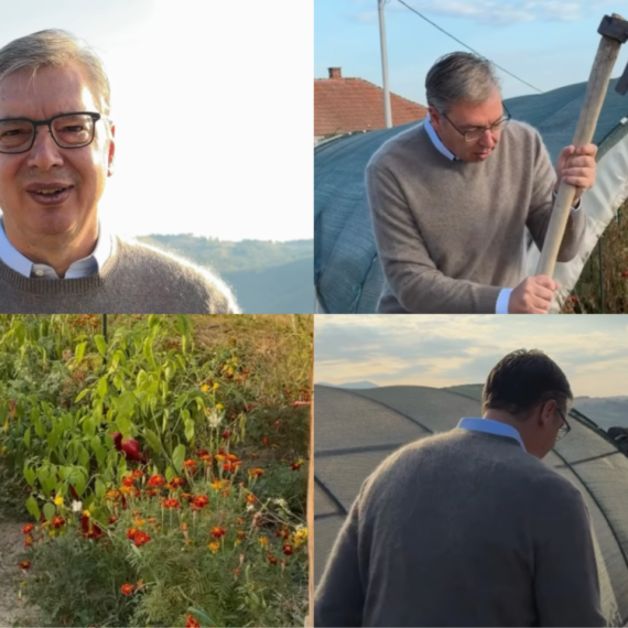 Vučić se javio iz sela Krš: "Odgovornošću, mirom i strpljenjem moramo da pobedimo nasilje" VIDEO