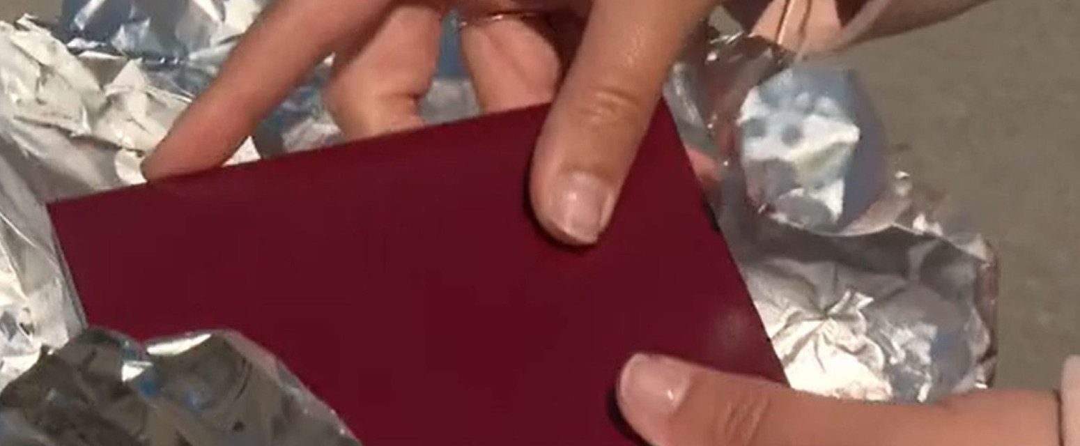 Viralni trend ili trik koji "radi": Zašto putnici uvijaju pasoš u aluminijumsku foliju? VIDEO