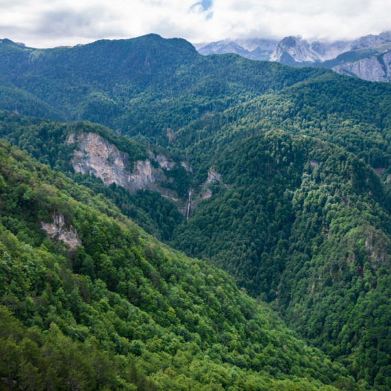 Ova šuma proglašena je za"najskrovitiju" u Evropi: Nalazi se u BiH i krije nestvaran vodopad FOTO