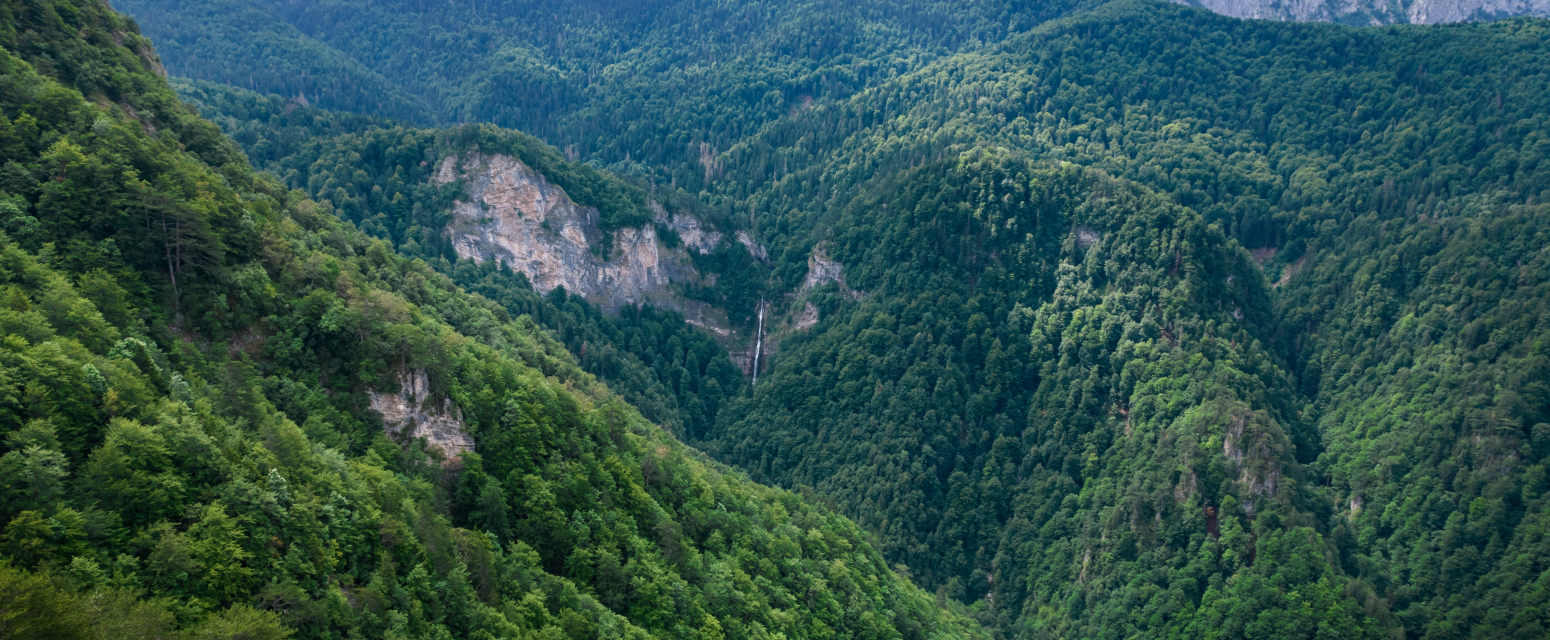 Ova šuma proglašena je za"najskrovitiju" u Evropi: Nalazi se u BiH i krije nestvaran vodopad FOTO