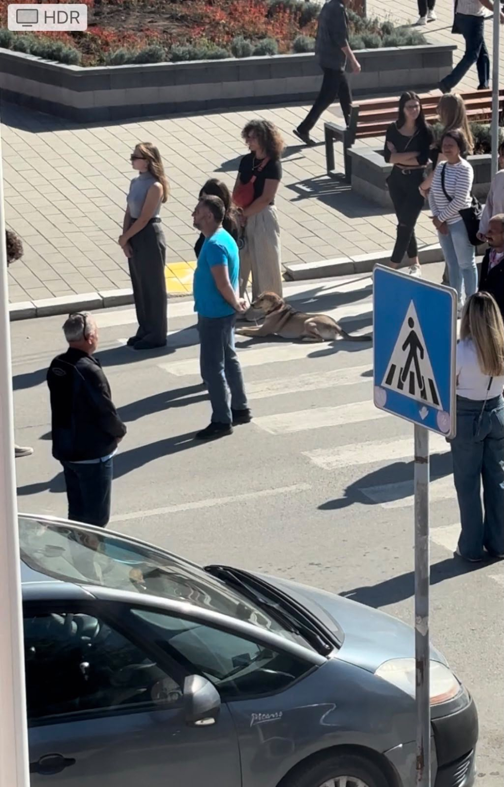 Skandalozno ponašanje blokadera u Velikoj Plani; Ne umeju da ispoštuju stradale FOTO