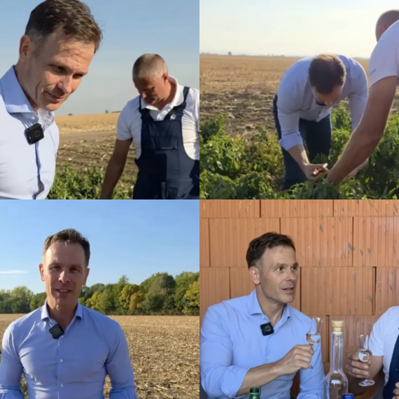 Mali u Bačkom Petrovcu: "Od njive do ljutog ručka"; "Podsetio sam se i omiljenog jela iz detinjstva" VIDEO