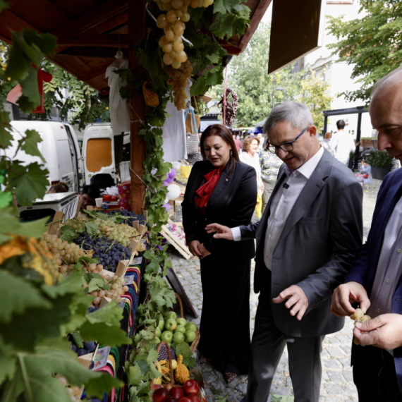 Više od milijardu dinara za poljoprivrednike u Topoli; Sa Oplenačke berbe stigla poruka o novim ulaganjima
