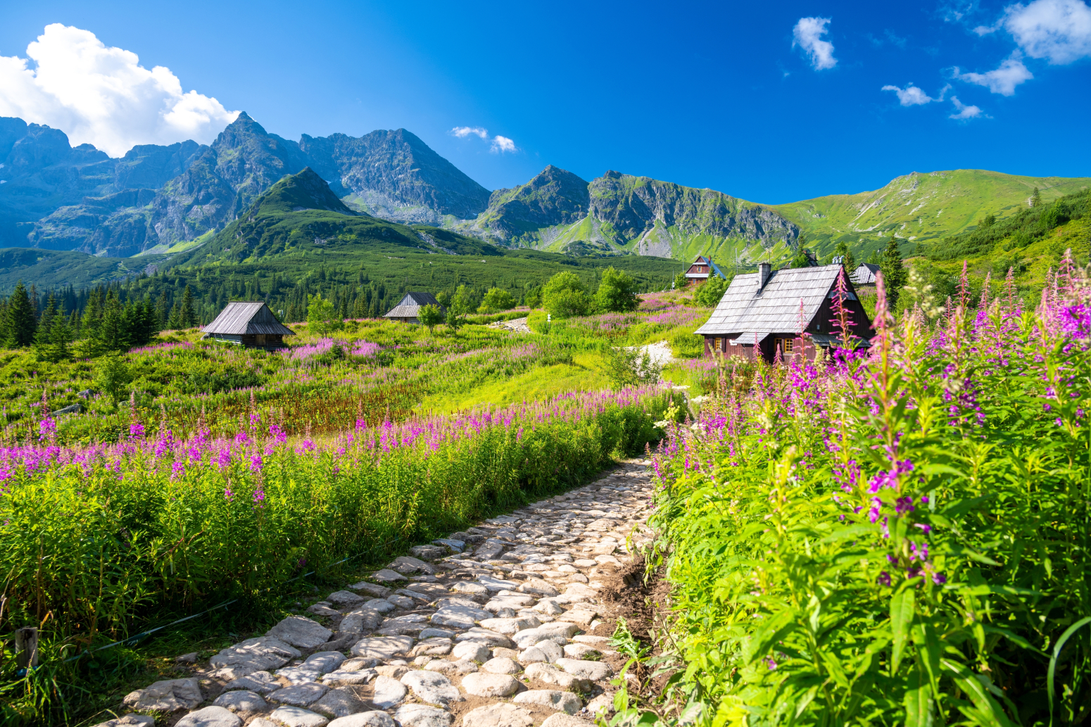 Alpski pejzaž bez visokih cena: Planinski odmor na ovoj destinaciji je sve popularniji FOTO