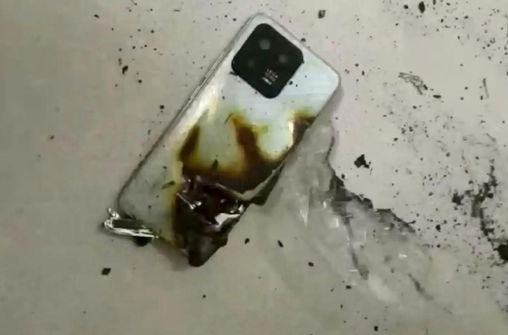 Medved napao dečaka: Telefon eksplodirao i spasao mu život FOTO