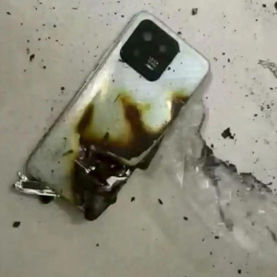 Medved napao dečaka: Telefon eksplodirao i spasao mu život FOTO