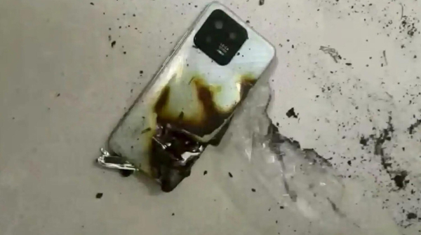 Medved napao dečaka: Telefon eksplodirao i spasao mu život FOTO