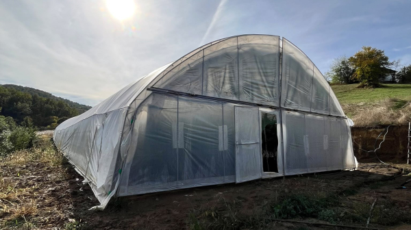 Marihuana u plastenicima: Otkrivena plantaža u Gornjem Milanovcu FOTO