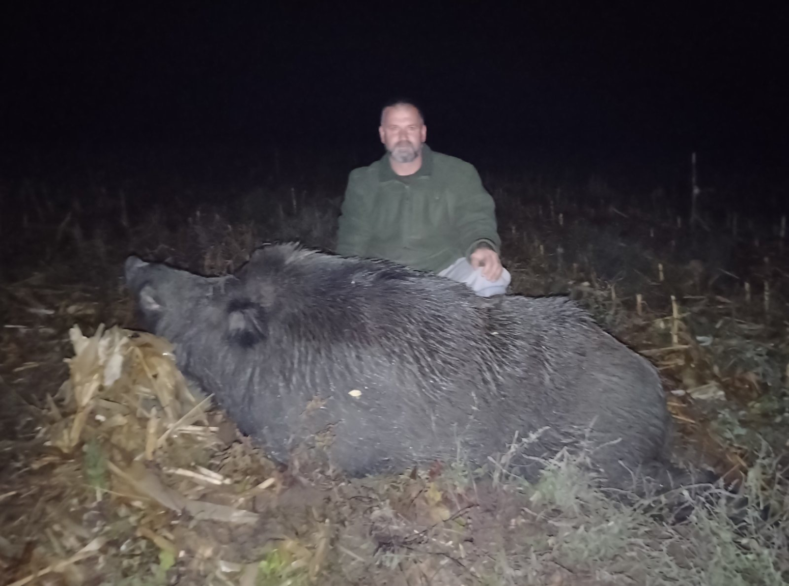 Grdosija od skoro 300 kilograma: Kod Jagodine ulovljen jedan od najvećih veprova u Srbiji FOTO