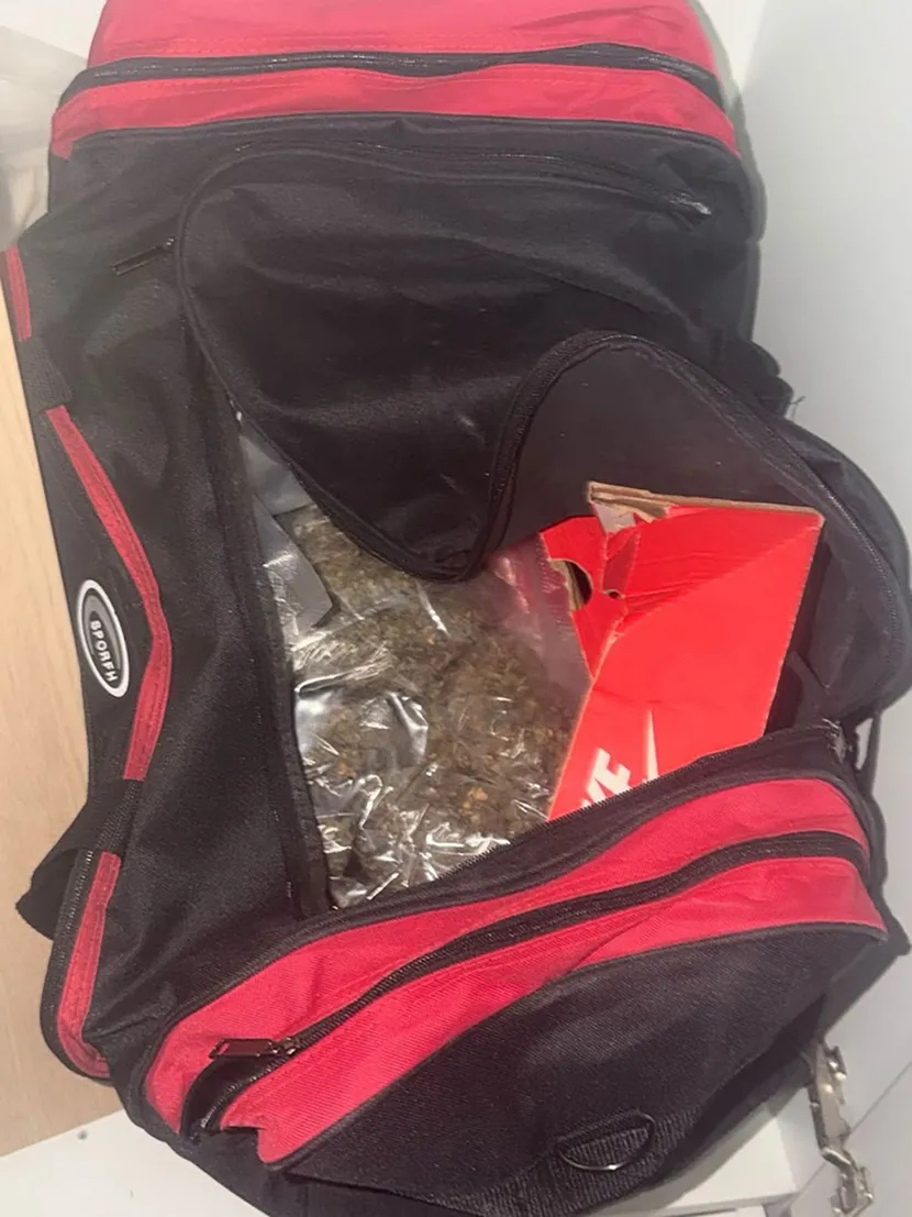 Pala braća, dileri iz Novog Sada: Zaplenjen kokain, marihuana i THC cigarete