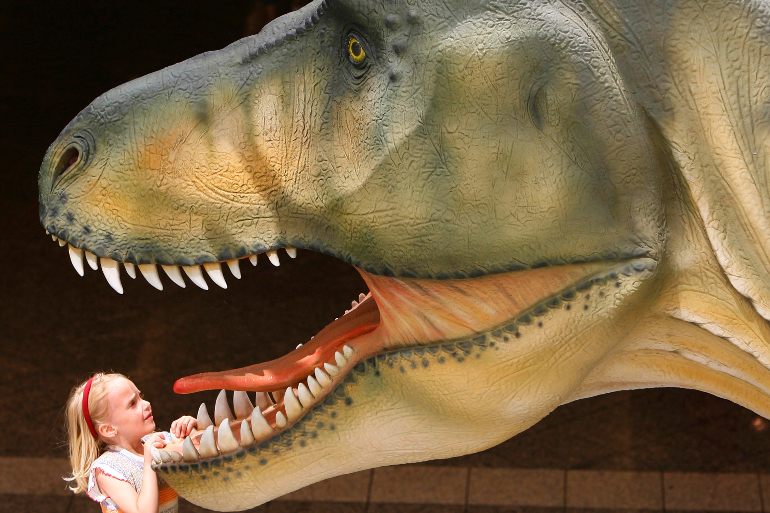 Naučnici tragaju za istinom o dinosaurusima; Arheolozi istražuju pećinu u Španiji