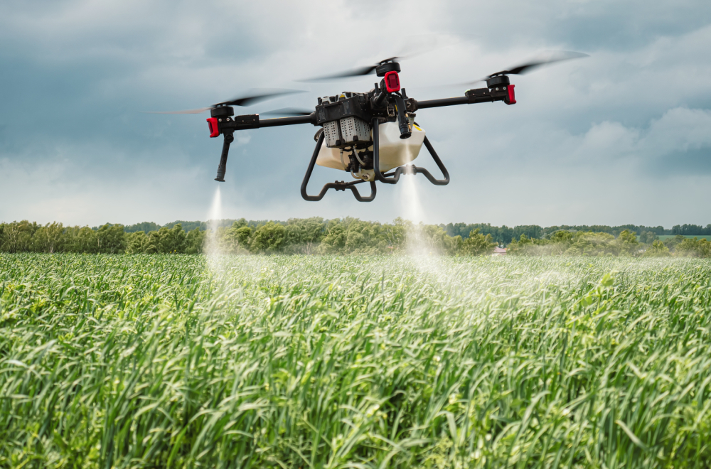 Kad traktor ne može među useve, poleće dron: Mladić iz Mihajlova njive obrađuje iz vazduha