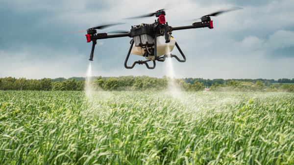 Kad traktor ne može među useve, poleće dron: Mladić iz Mihajlova njive obrađuje iz vazduha