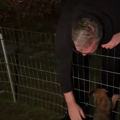 Vučić: "Posle svih scena užasnog nasilja, svoj mir sam pronašao u igri sa ljubimcima" VIDEO