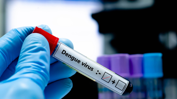 Lekari upozoravaju: Epidemija se ne smiruje, 173 smrtna slučaja u Bangladešu
