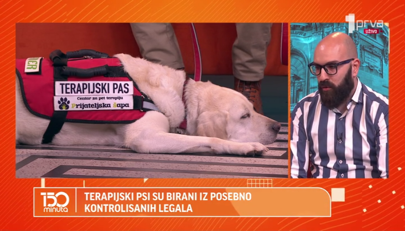 Terapijski psi birani su iz posebno kontrolisanih legala