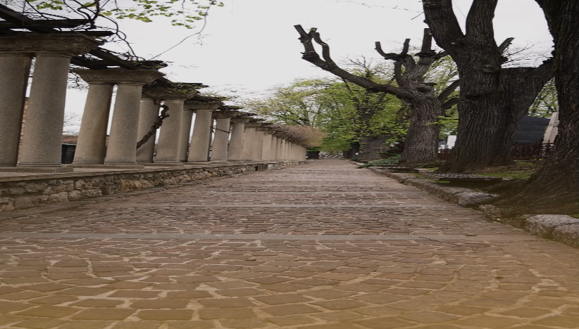 Alejama Novog groblja