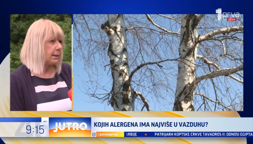 Kojih alergena ima trenutno najviše u vazduhu?