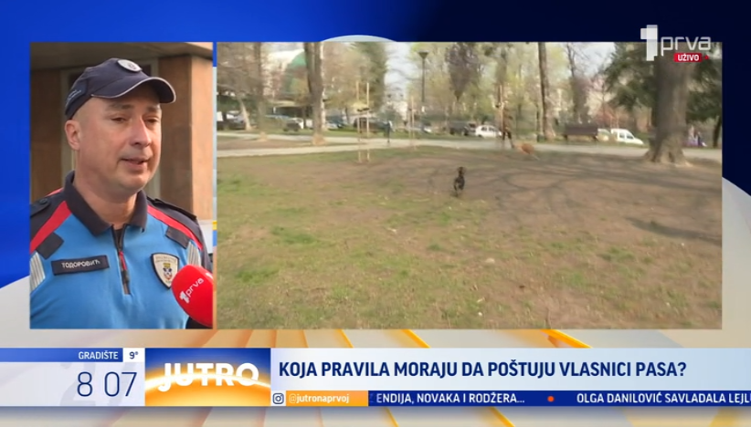 Koja pravila moraju da poštuju vlasnici pasa?