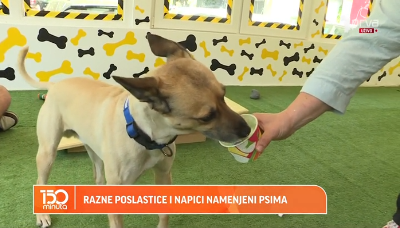 Vlasnici sve češće vode svoje ljubimce u igraonice