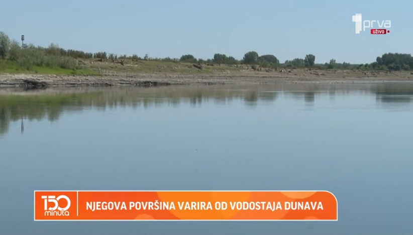 Krčedinska ada je prava prirodna oaza
