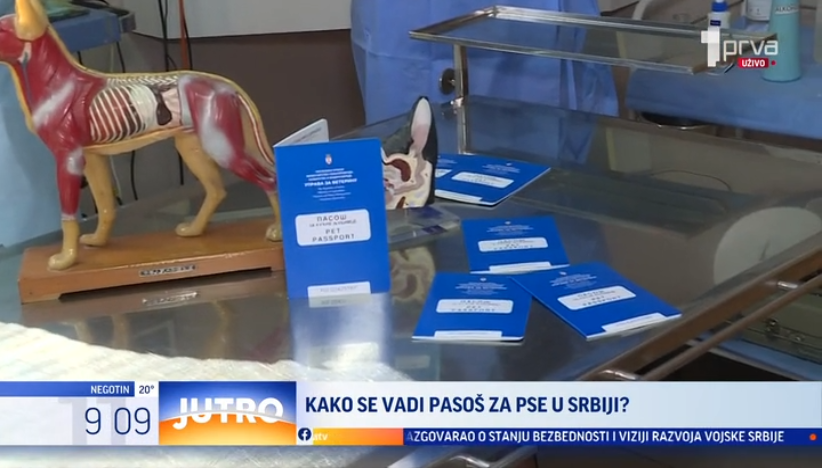 Šta je potrebno kućnom ljubimcu za put