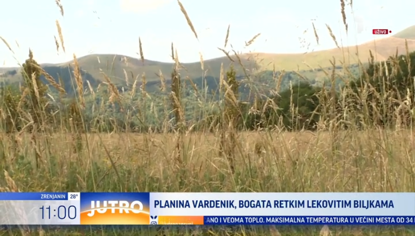 Planina Vardenik krije mnoge lekovite biljke