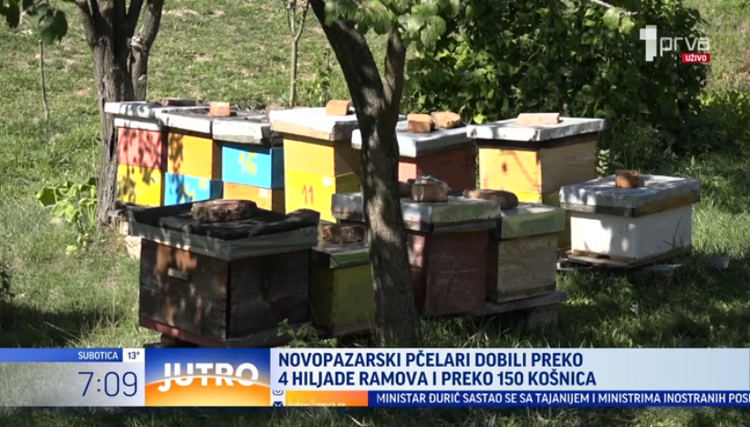 Velika pomoć za pčelare u Novom Pazaru