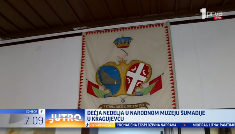 Ovako Kragujevčani organizuju "Dečiju nedelju"
