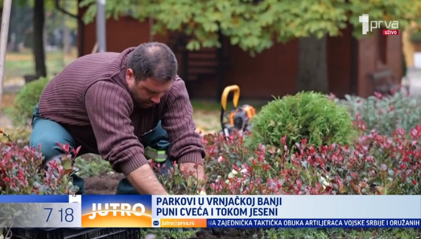 Da bude u punom sjaju: Nova sadnja cveća u Vrnjaćkoj Banji