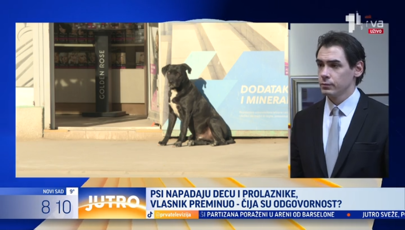 Čopor pasa napada prolaznike i decu u ovom beogradskom naselju