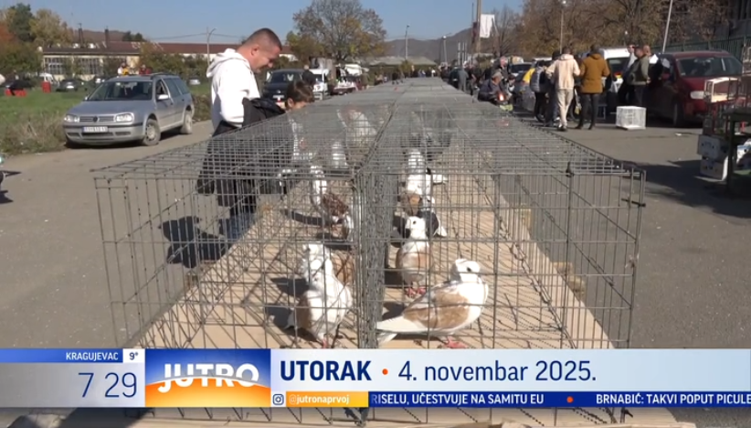 Osnovne škole u Novom Pazaru među prvima zabranile mobilne telefone