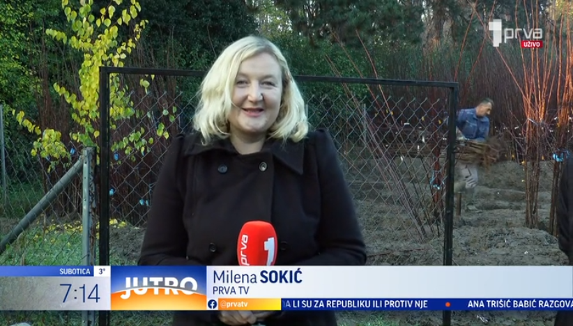 Počela jesenja sadnja voća u čačanskom kraju