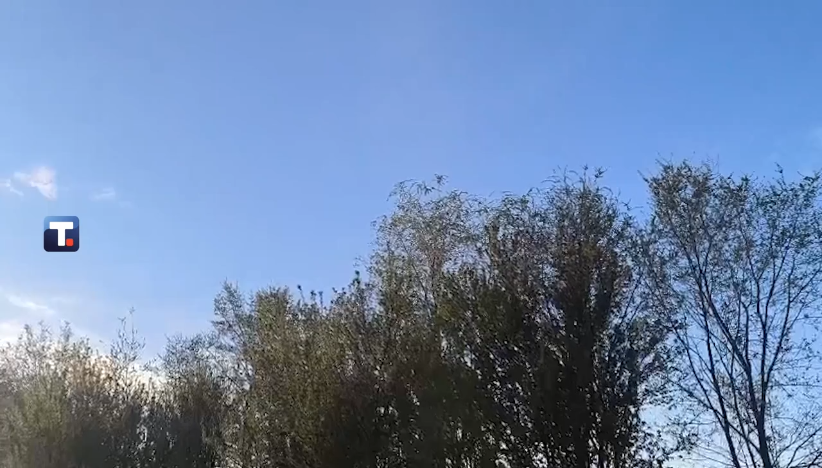 Policija i vojska pretražuju teren u opštini Kanjiža, blokirano više puteva