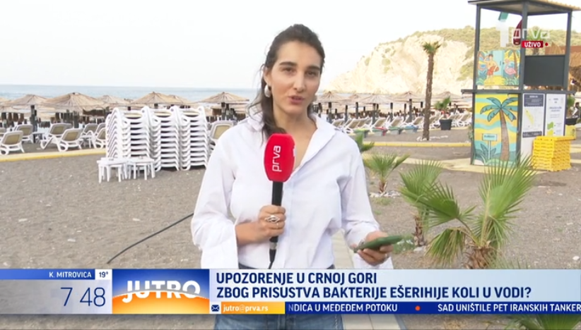 Da li ima ešerihije koli na plažama u Crnoj Gori?