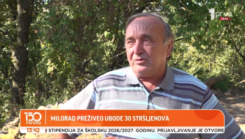 Milorad preživeo ujed 30 stršljena