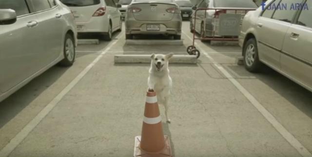 Èini dobro i dobro æe ti se vratiti (VIDEO)