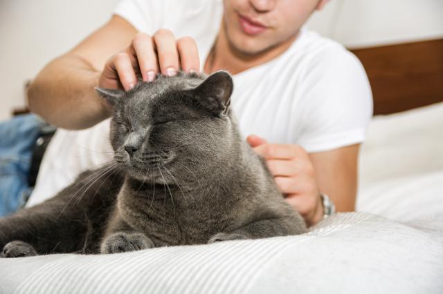 Najnoviji hit na Instagramu: Zgodni momci s maèkama