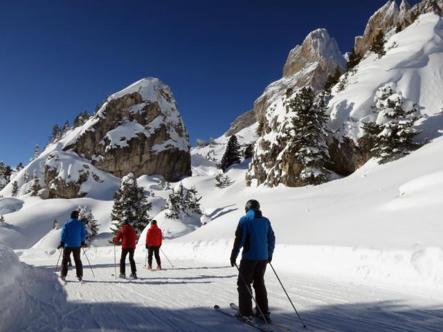 Snežna lavina na Alpima, poginuo skijaš