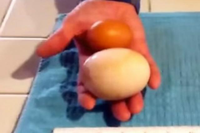 Teško æete pogoditi šta je našao u džinovskom jajetu (VIDEO)