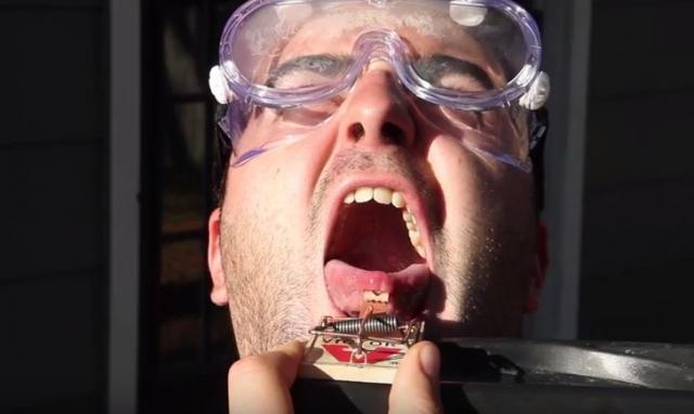 Šta se desi kada stavite jezik na mišolovku? (VIDEO)