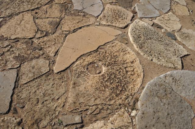 Pronađen točak star 3.000 godina